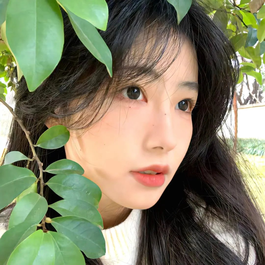 为黛西小姐开车